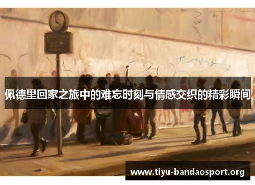 佩德里回家之旅中的难忘时刻与情感交织的精彩瞬间