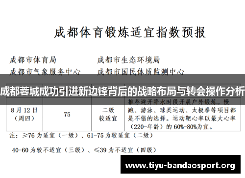 成都蓉城成功引进新边锋背后的战略布局与转会操作分析