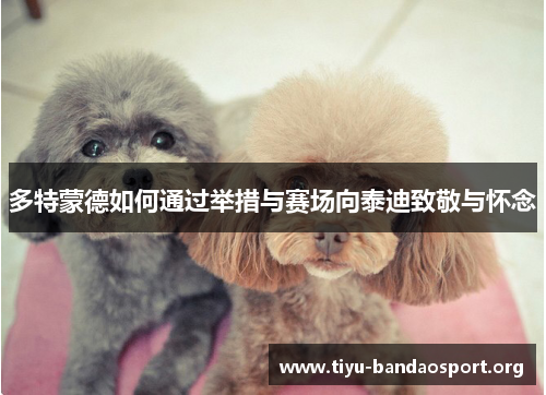多特蒙德如何通过举措与赛场向泰迪致敬与怀念