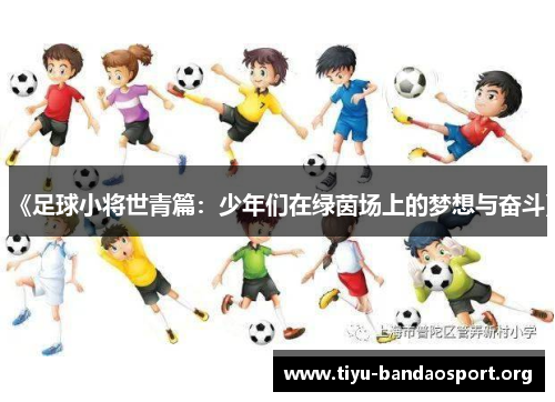 《足球小将世青篇：少年们在绿茵场上的梦想与奋斗》