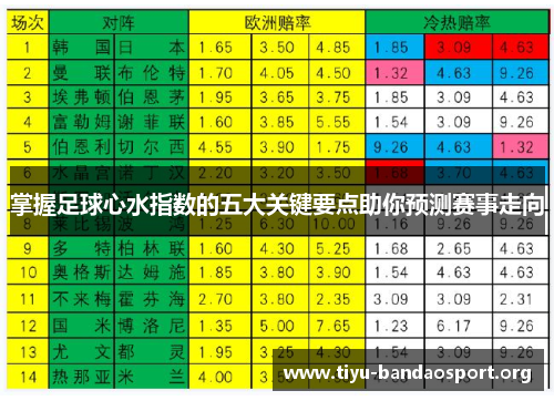 掌握足球心水指数的五大关键要点助你预测赛事走向