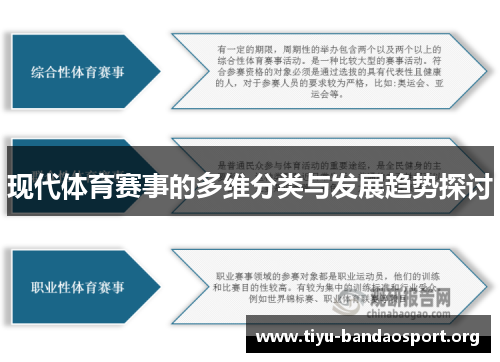 现代体育赛事的多维分类与发展趋势探讨