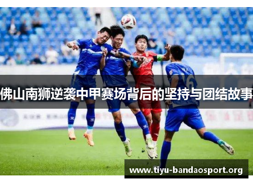 佛山南狮逆袭中甲赛场背后的坚持与团结故事