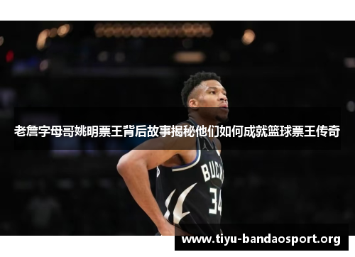 老詹字母哥姚明票王背后故事揭秘他们如何成就篮球票王传奇