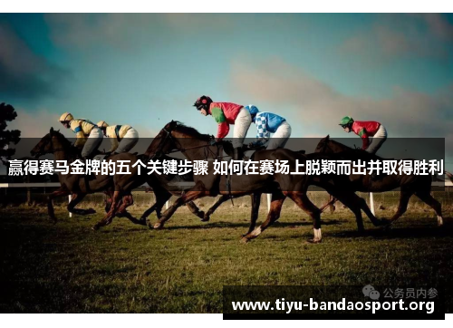赢得赛马金牌的五个关键步骤 如何在赛场上脱颖而出并取得胜利