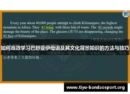 如何高效学习巴舒亚伊母语及其文化背景知识的方法与技巧