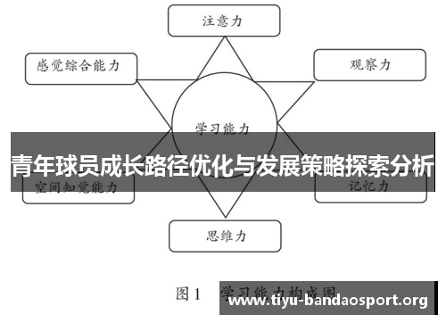青年球员成长路径优化与发展策略探索分析